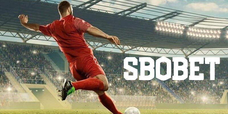 bk8 đăng nhập mậu binh uy tín