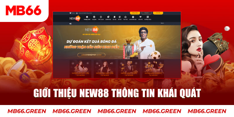 bk8 c1 gà chọi