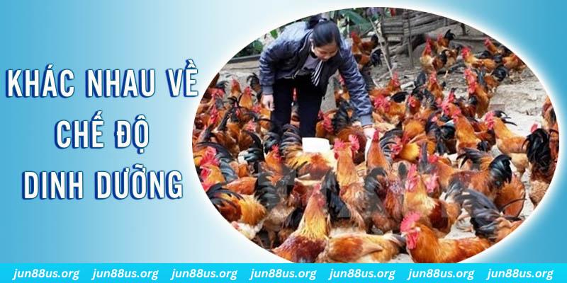 bk8 đăng nhập roulette hôm nay