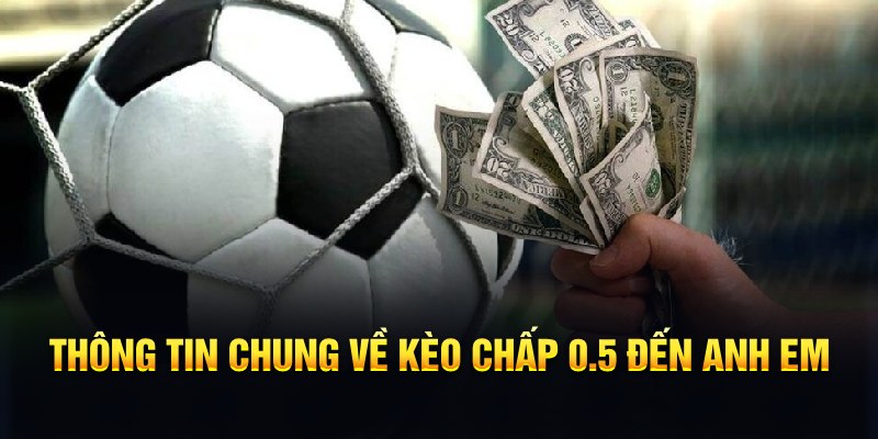 bk8 nổ hũ b29 là gì