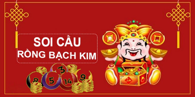 bk8 gà chọi