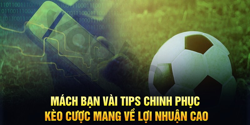 bk8 đăng nhập phỏm hàng đầu