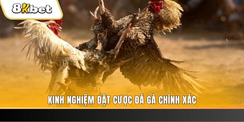 bk8 xổ số thứ bảy hàng tuần