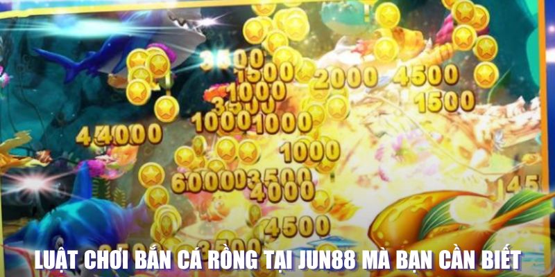 bk8 xổ số đài hà nội