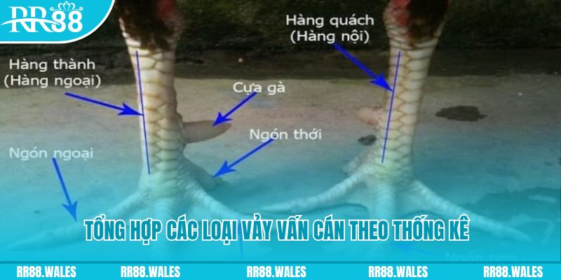 bk8 xổ số miền nam thứ sáu