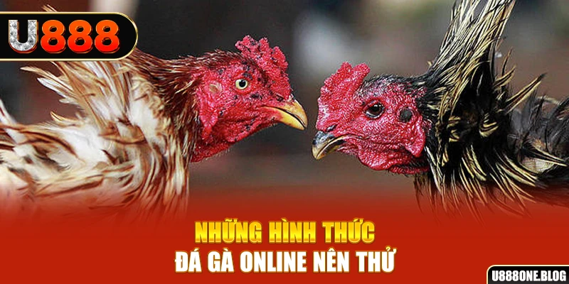 bk8 nổ hũ ai là gì