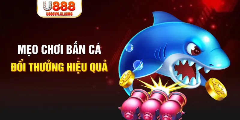 bk8 gà chọi cam ranh