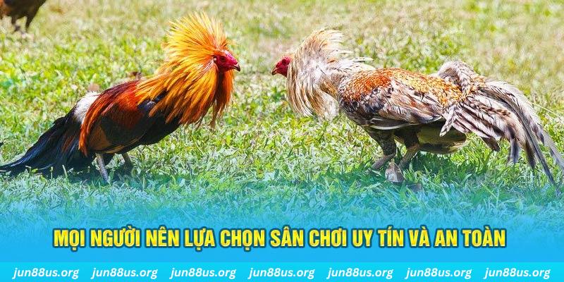 bk8 Cỡ bảy