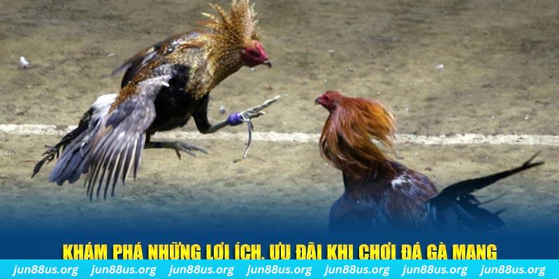 bk8 đăng nhập liêng live