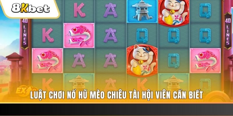 bk8 gà chọi cu cần