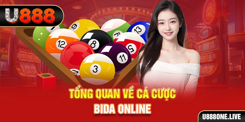 bk8 xem xổ số miền bắc