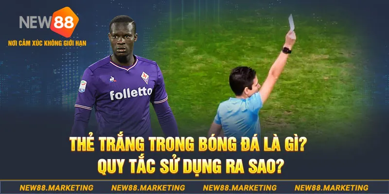 bk8 đăng nhập sòng bạc hôm nay