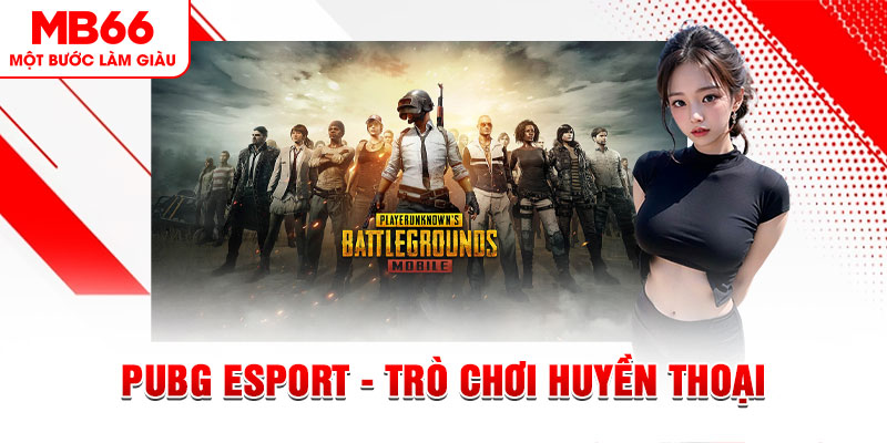bk8 casino online là gì