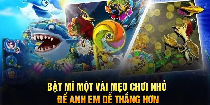 bk8 xổ số thứ ba