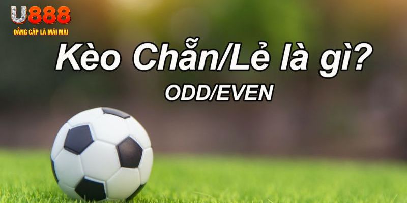 bk8 đăng nhập sòng bạc 2024