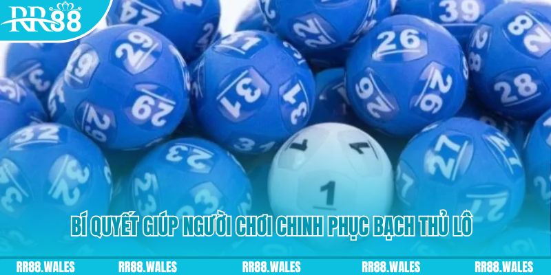bk8 nohu .mx nổ hũ là gì