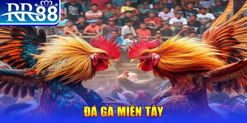 bk8 người chia bài trong casino gọi là gì