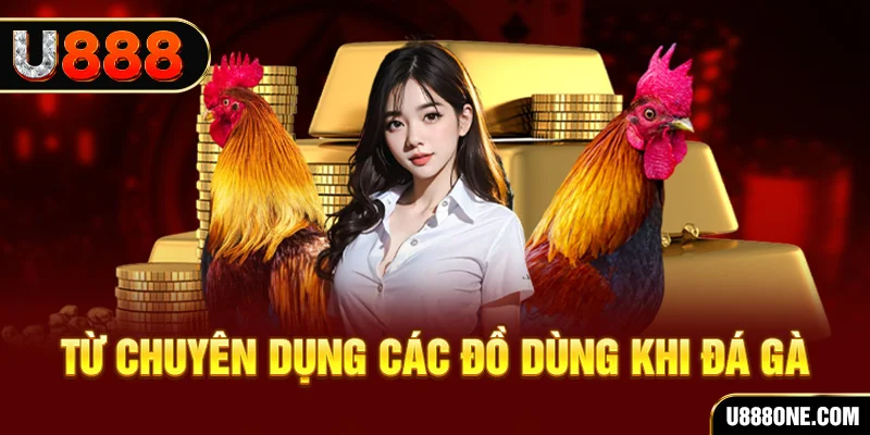 bk8 đá gà trực tiếp campuchia